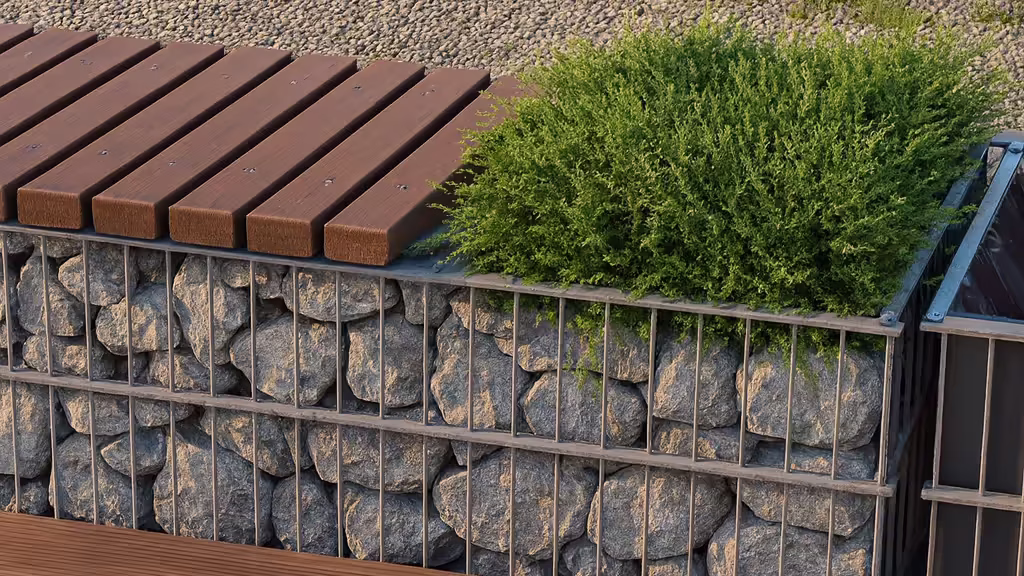 Rośliny i gabiony – jakie gatunki najlepiej komponują się z kamieniem?